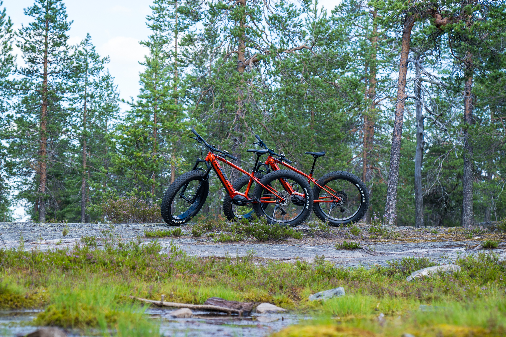 E-fatbike